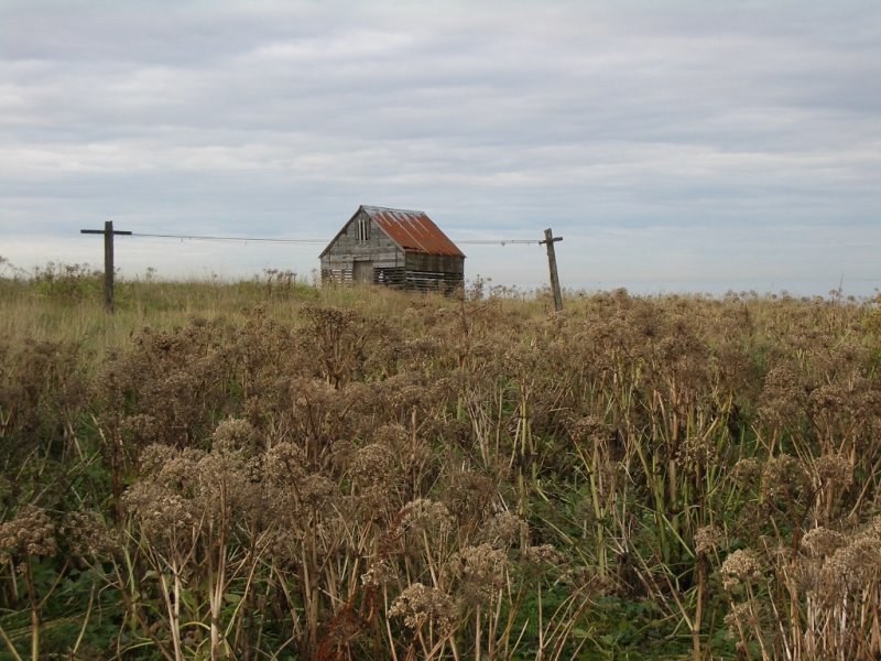 Old Fishing Shed in Reykjavik.jpg