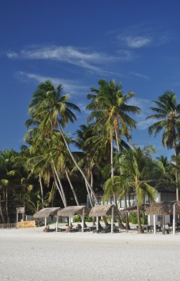 Beach Huts in Boracay.jpg