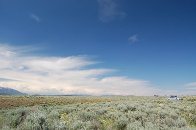 Car and Sagebrush.jpg