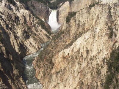 Lower Falls in Yellowstone.jpg