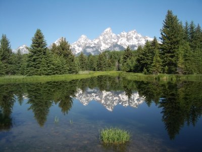 Reflections of Mountains and Trees.jpg