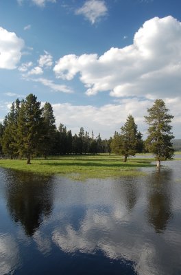 Late Afternoon Reflections.jpg