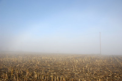 Fogbow