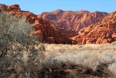 Snow Canyon 1