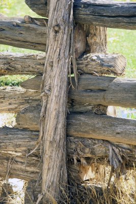 Fence Detail