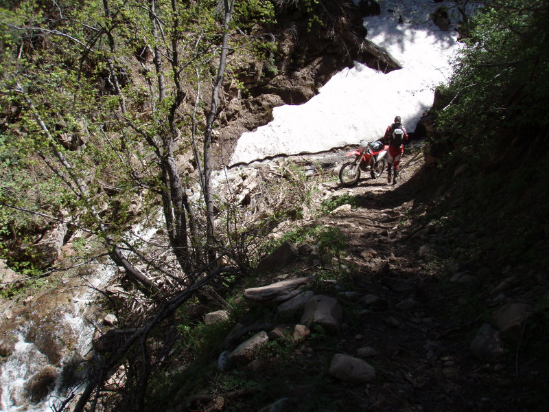 P6151522.JPG