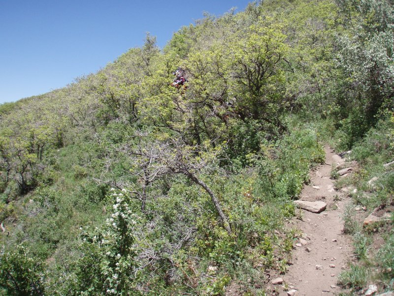 P6191622.JPG