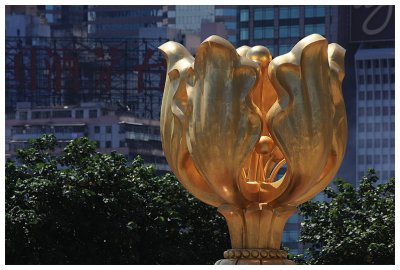 WJs (Golden Bauhinia Square)