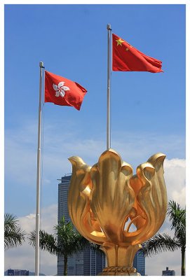 WJs (Golden Bauhinia Square)