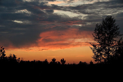 Sunset DSC_6403-1.jpg