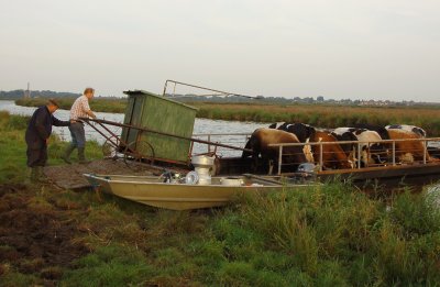 De melkmachine gaat ook mee