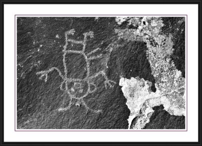 Petroglyphs near Echo park