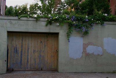 IMG_5438.JPG