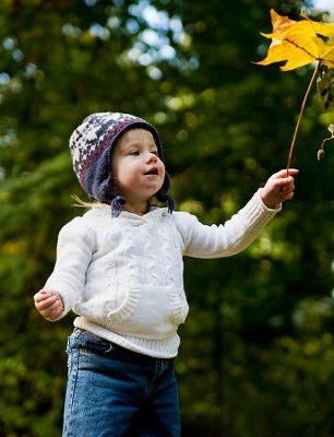 Ava & leaf