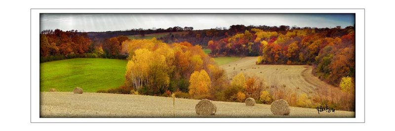 Autumn Hay Rolls