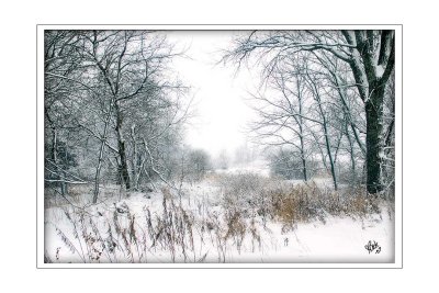 Winter Vista (Winter of '07 - '08)