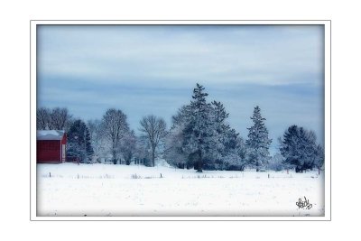 Winter Farm (Winter of 07 - 08)