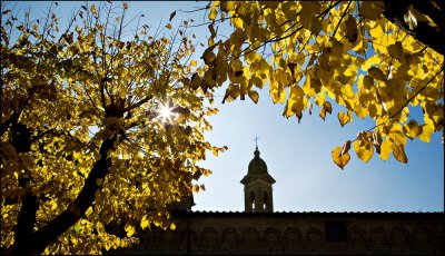 Autumn leaves in Buonconvento