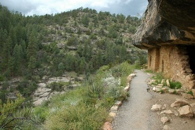 A view of the trail.