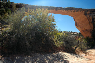 Owachomo Bridge