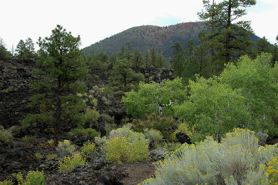 Sunset Crater