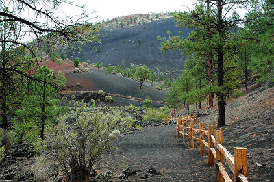 Lava Flow Trail