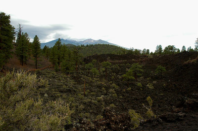 Near Station 11