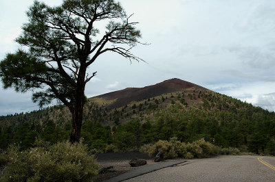 Sunset Crater from the East