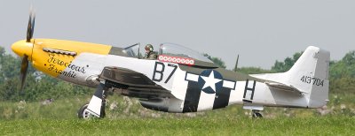 P51 Ferocious Frankie in the weeds