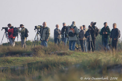 Birdwatchers at Nabben Falsterbo on a very quiet day (1)