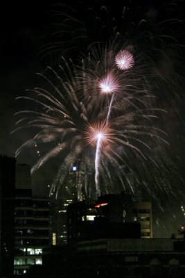 Fireworks 5175.jpg