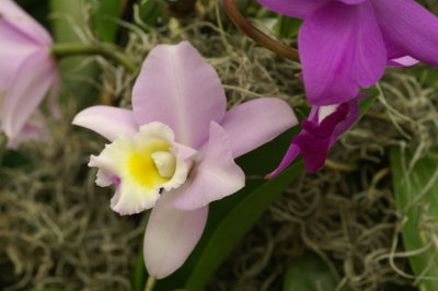 PICT0176.JPE