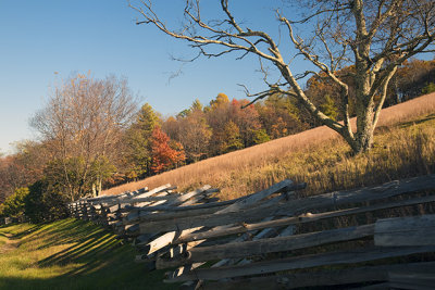 Parkway Fence-Fall Afternoon