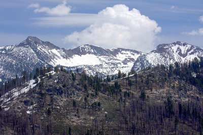 High Country View