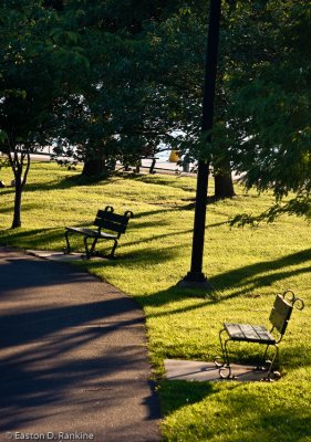 Evening Benches