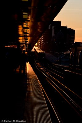 Late Evening Train