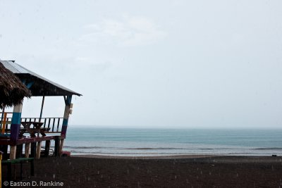 The Rain Ushers in Quiet and Its Own Symphony