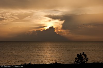 Sunset I