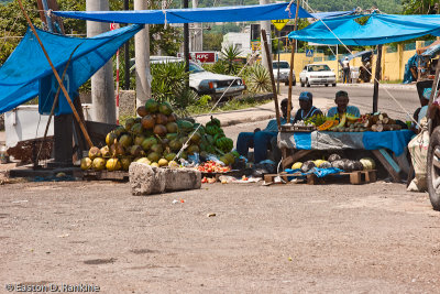 Blue Tarp