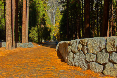 Yosemite National Park, California