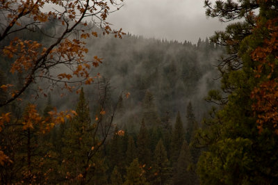 Yosemite National Park, California