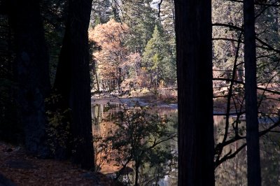 Yosemite National Park, California