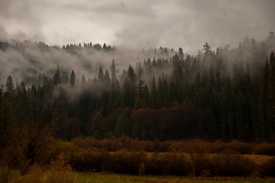 Yosemite National Park, California