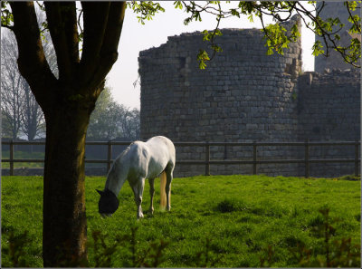 INesles Château (Marne) #02