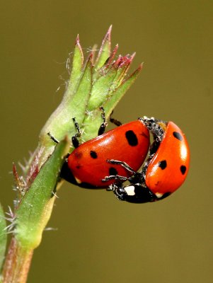 IMG_7650  .jpg
