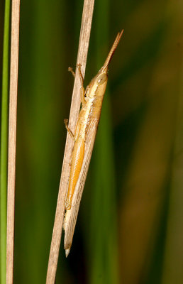IMG_7354.jpg