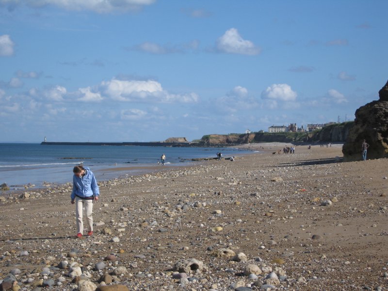 She searches for seashells (and fossils)