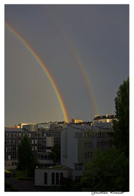 Rainbow