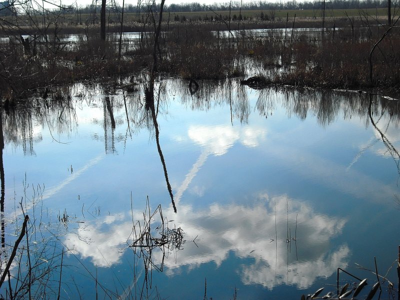 Reflected Cloud