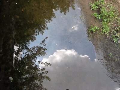 Reflection in a Local Stream